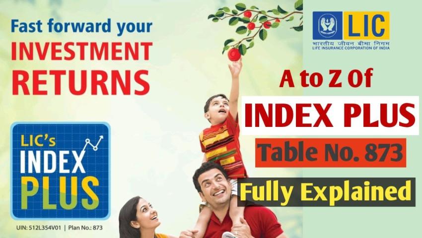 LIC index plus 873